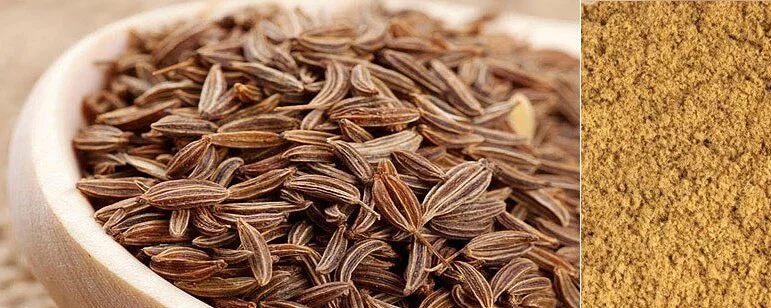 Why AIP Removes Cumin