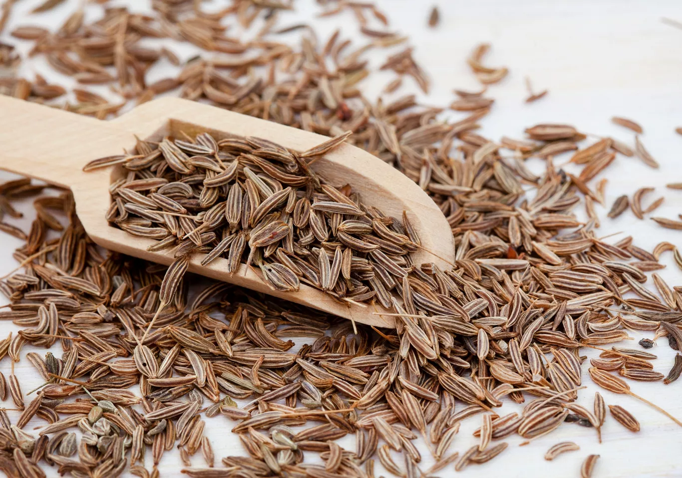 Cumin AIP Reintroduction Stages