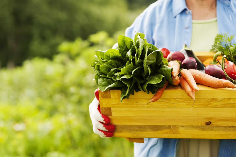 Foods to Avoid for Inflammation