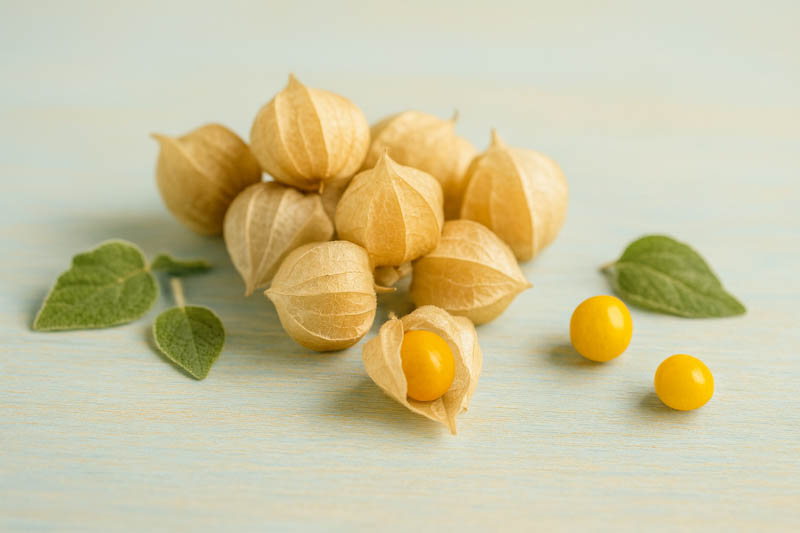 Ground Cherries