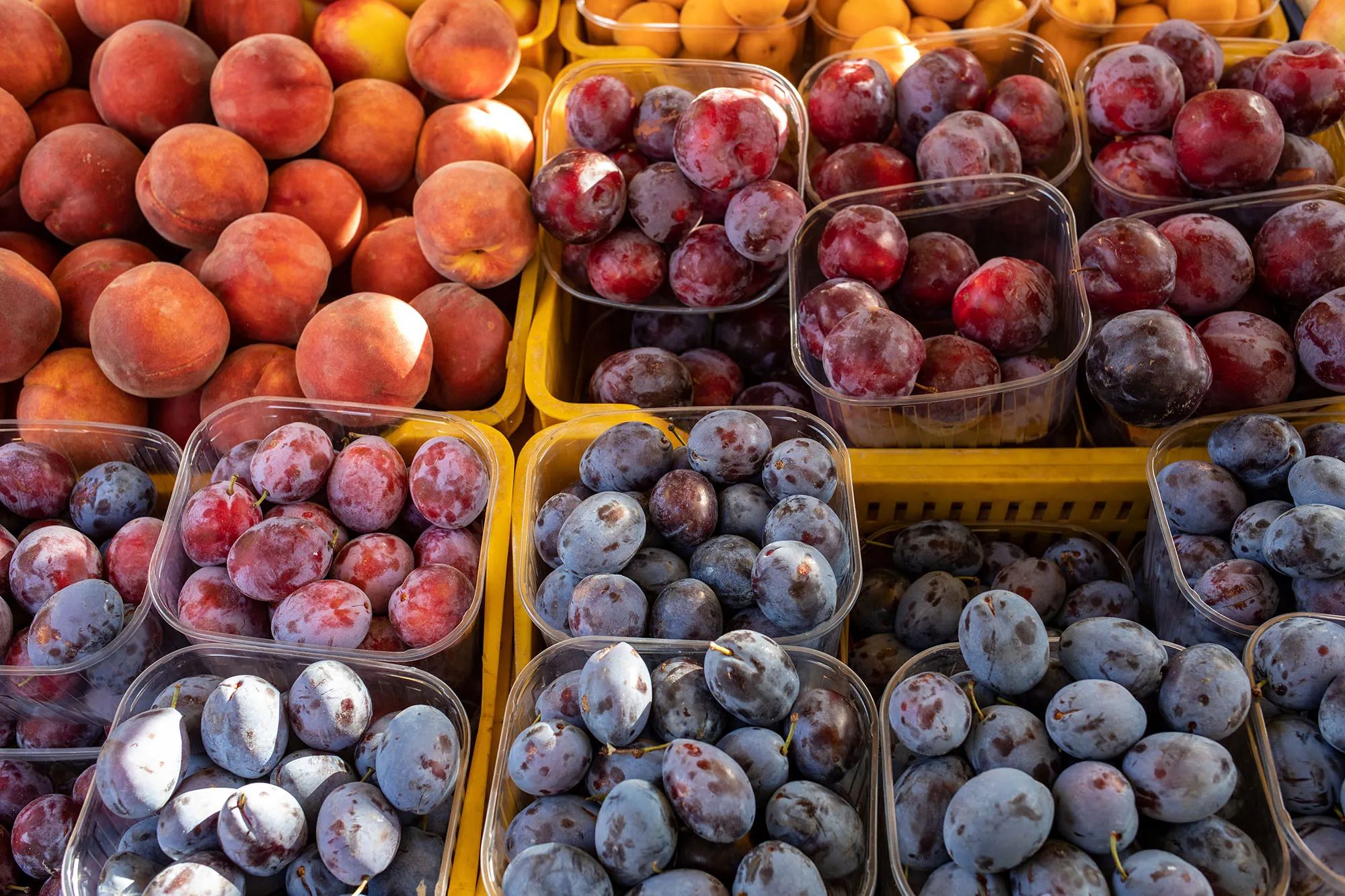 Stone Fruits